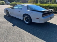 1989 Pontiac Firebird for sale in Michigan (ID-130513)