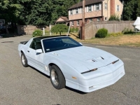 1989 Pontiac Firebird for sale in Michigan (ID-130513)