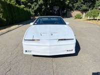1989 Pontiac Firebird for sale in Michigan (ID-130513)