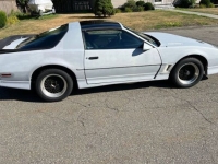 1989 Pontiac Firebird for sale in Michigan (ID-130513)