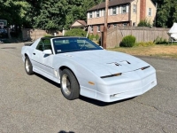 1989 Pontiac Firebird for sale in Michigan (ID-130513)