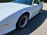1989 Pontiac Firebird for sale in Michigan (ID-130513)
