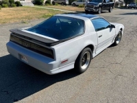 1989 Pontiac Firebird for sale in Michigan (ID-130513)