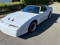 1989 Pontiac Firebird for sale in Michigan (ID-130513)