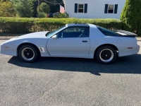 1989 Pontiac Firebird for sale in Michigan (ID-130513)