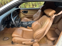 1989 Pontiac Firebird for sale in Addison, Illinois (ID-134598)