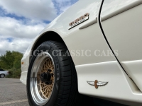 1989 Pontiac Firebird for sale in Addison, Illinois (ID-134598)