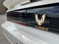 1989 Pontiac Firebird for sale in Addison, Illinois (ID-134598)