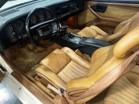 1989 Pontiac Firebird for sale in Addison, Illinois (ID-138226)