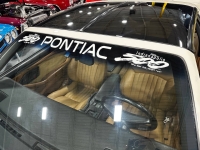 1989 Pontiac Firebird for sale in Addison, Illinois (ID-138226)