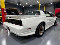 1989 Pontiac Firebird for sale in Addison, Illinois (ID-138622)
