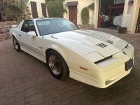 1989 Pontiac Firebird for sale in Michigan (ID-155942)