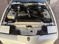 1989 Pontiac Firebird for sale in Michigan (ID-155942)