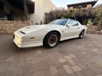 1989 Pontiac Firebird for sale in Michigan (ID-155942)