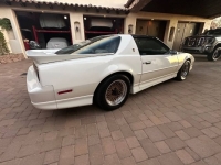 1989 Pontiac Firebird for sale in Michigan (ID-155942)