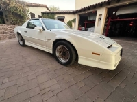 1989 Pontiac Firebird for sale in Michigan (ID-155942)