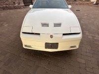 1989 Pontiac Firebird for sale in Michigan (ID-155942)