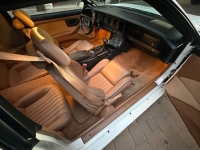 1989 Pontiac Firebird for sale in Michigan (ID-155942)