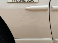 1989 Pontiac Firebird for sale in Michigan (ID-155942)