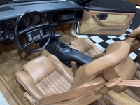 1989 Pontiac Firebird for sale in Addison, Illinois (ID-162472)