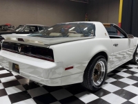 1989 Pontiac Firebird for sale in Addison, Illinois (ID-162472)
