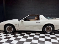 1989 Pontiac Firebird for sale in Addison, Illinois (ID-162472)