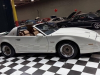 1989 Pontiac Firebird for sale in Addison, Illinois (ID-162472)