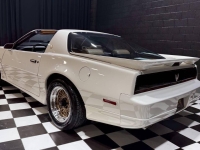 1989 Pontiac Firebird for sale in Addison, Illinois (ID-162472)