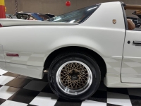1989 Pontiac Firebird for sale in Addison, Illinois (ID-162472)