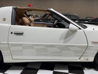 1989 Pontiac Firebird for sale in Addison, Illinois (ID-162472)