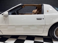 1989 Pontiac Firebird for sale in Addison, Illinois (ID-162472)