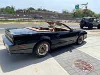 1989 Pontiac Trans Am for sale in Michigan (ID-98712)
