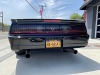 1989 Pontiac Trans Am for sale in Michigan (ID-98712)