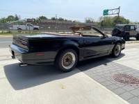 1989 Pontiac Trans Am for sale in Michigan (ID-98712)