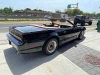 1989 Pontiac Trans Am for sale in Michigan (ID-98712)
