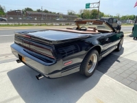 1989 Pontiac Trans Am for sale in Michigan (ID-98712)
