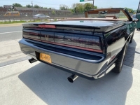 1989 Pontiac Trans Am for sale in Michigan (ID-98712)