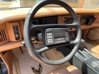 1989 Pontiac Trans Am for sale in Michigan (ID-98712)