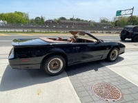1989 Pontiac Trans Am for sale in Michigan (ID-98712)