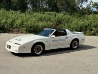 1989 Pontiac Trans Am for sale in Addison, Illinois (ID-131355)