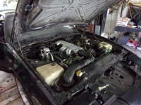 1989 Pontiac Trans Am for sale in Michigan (ID-162534)