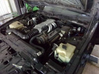 1989 Pontiac Trans Am for sale in Michigan (ID-162534)