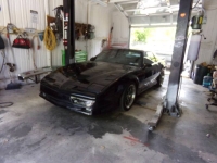 1989 Pontiac Trans Am for sale in Michigan (ID-162534)
