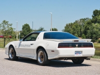 1989 Pontiac Trans Am for sale (ID-163801)