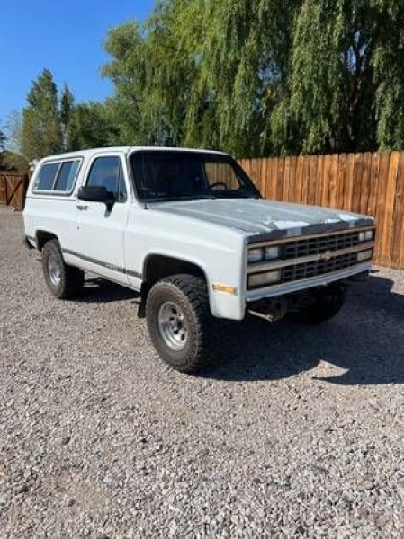 1990 Chevrolet Blazer for sale in Michigan (ID-106290) 1990 Chevrolet Blazer for sale in Michigan (ID-106290)