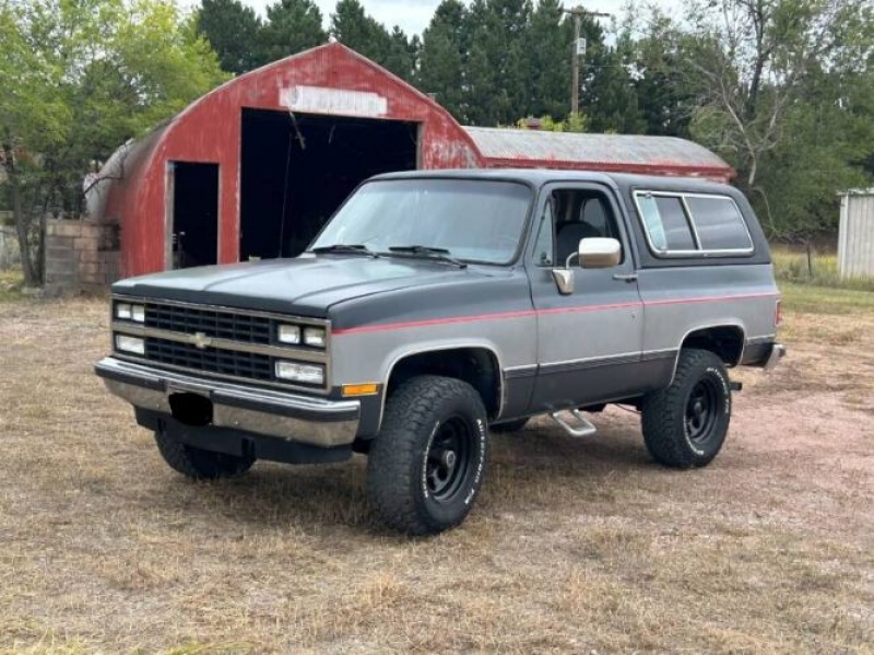 1990 Chevrolet Blazer for sale in Michigan (ID-121951)