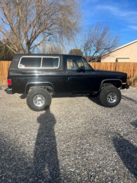 1990 Chevrolet Blazer for sale in Michigan (ID-123551)