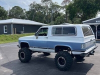 1990 Chevrolet Blazer for sale in Michigan (ID-130460)