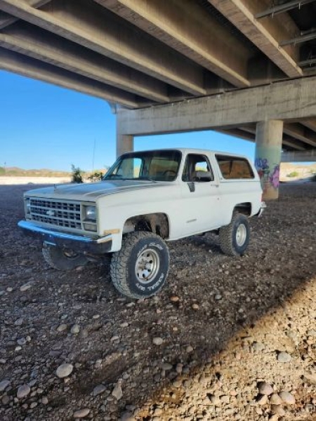 1990 Chevrolet Blazer for sale in Michigan (ID-138758)