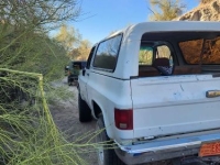 1990 Chevrolet Blazer for sale in Michigan (ID-138758)